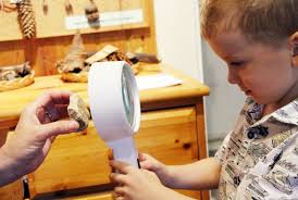 {Berlin} Learning About Nature at the Forest Museum