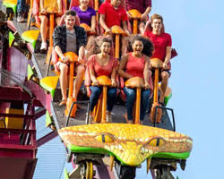 Rider Height Safety Kings Island