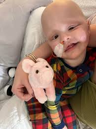 Violet's scans are clear, no evidence of tumors or disease