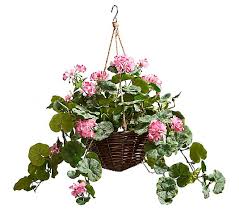 Maybe you would like to learn more about one of these? Pure Garden Faux Flower Basket Hot Pink Geranium Qvc Com