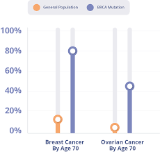 brca1 brca2 gene sequencing panel ntd eurofins