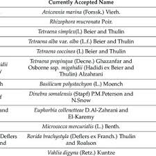 Image result for Vahlia digyna