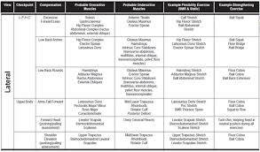 Nasm Ces Charts Flashcards Quizlet