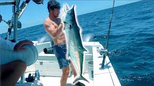 Spearfishing oahu 2020 | spearfishing hawaii 2020. Spearfishing Big Fish Shark Encounters Gulf Of Mexico 2020 Youtube