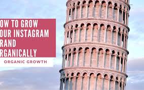 You can grow your follower count and engagement on instagram organically. 12 Organic Growth Factors For Instagram How To Organically Grow On Instagram Your Charisma B V Digital Marketing Agency