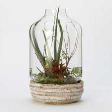 Weathered Basin Terrarium Garden Terrarium Planter Pots Indoor Terrarium