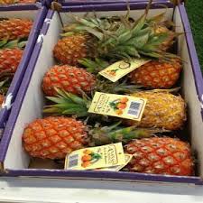 Ananas Victoria Cayenne Lisse Pain De Sucre Vente Mondiale Pas De Restriction 3 50 Kg Vrac Par Carton De 5kg Et Par Palette Vrac Par Carton De 5kg Et Par