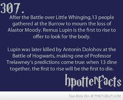Harry potter is probably one of the most beloved movie franchises of all time. Interesting Harry Potter Fact Harry Potter Facts Harry Potter Obsession Harry Potter Love