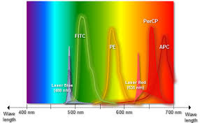 Flow Cytometry Fcm Facs Fluorochrome Selection