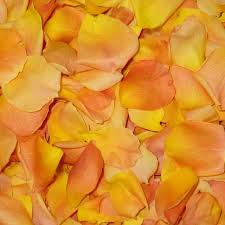 Mango Freeze Dried Rose Petals Direct From The Grower Flyboy Naturals Rose Petals Www Flyboynaturals Com