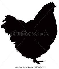 Chicken Silhouette Free Vector For Free Download About 12 Files Silhouette Free Silhouette Images Silhouette