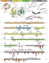 Ascom d43 is a durable dect handset that facilitates efficient and dependable wireless telephony. Frontiers Structural Insights Into Tdp 43 And Effects Of Post Translational Modifications Frontiers In Molecular Neuroscience