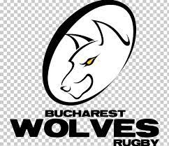 The most common top 14 rugby material is porcelain & ceramic. BucureÈ™ti Wolves Rugby Union Zebre Rugby Club Union Bordeaux Begles Rugby Player Png Clipart Area Art