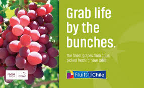 A wide variety of fruit grabs options are available to you, such as condition, local service location, and machinery test report. Tablegrapes Green Grab Life Fruits From Chile