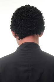 Einzigartige frisuren mit afro locken. Perucke Damen Herren Halloween Karneval Kurz Afro Krause Schwarze Locken Afrika