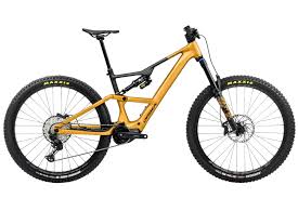 Image result for Orbea umbracula