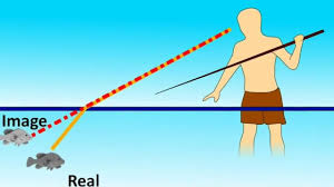 Reflection meaning, definition, what is reflection: Laws Of Reflection And Refraction Studiousguy