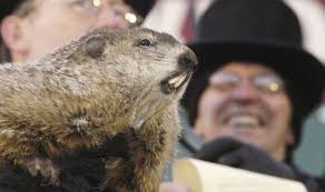 So, in the end harold ramis was right and i wasted a bill murray length of my time. Groundhog Day 2020 When Is Groundhog Day In The Us This Year What Is A Groundhog Express Co Uk