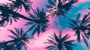 Are you searching for tree png images or vector? Palm Tree Wallpaper Pink Novocom Top