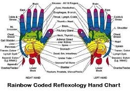 Susan Wilde Therapies Ludlow 3 Reviews Reflexologist