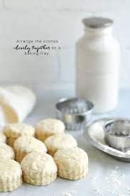 Plain Scone Recipe With Step By Step Photos Eat Little Bird Recipe Scone Recipe Scones Recipe Plain Recipes