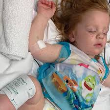 Fundraiser for Chelsy Burt by Kimberlee Radovani : The Burt Family