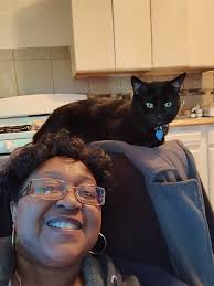 Store failure due to poor management and financial issues