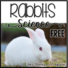 Free Rabbit Science Printables Activities Mrs Thompson S Treasures Free Rabbits Science Printables Rabbit Lessons