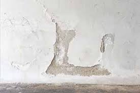 Sie zu finden ist aber unerlässlich, wollen sie die feuchte wand. Woran Erkennen Sie Feuchte Wande Wirklich Ratgeber Feuchte Wand Im Haus