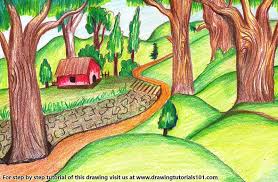Forest Scene Color Pencil Drawing Forest Drawing Forest Painting Scenery Drawing Pencil
