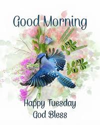 You can download the pictures and share them with your friends. Blue Bird Happy Tuesday Good Morning Quote Flower Good Morning Tuesday Good Morning Quotes Happy Tuesday Good Morning Quote Good Morning Inspirational Quotes