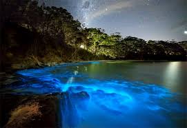 Double tap if you like it source. This Glow In The Dark Beach In Maldives Has Sea Of Stars To Swoon You Over Curly Tales