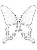 Butterfly with ethnic doodle pattern. Butterfly Coloring Pages