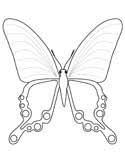 Butterfly with ethnic doodle pattern. Butterfly Coloring Pages