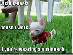 I Has A Hotdog - vicious - Funny Dog Pictures | Dog Memes | Puppy Pictures  | Pictures of dogs - Dog Pictures - Funny pictures of dogs - Dog Memes -  Puppy pictures - doge - Cheezburger