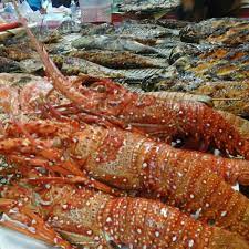 Jika datang bercuti ke kota kinabalu masukkan tempat ini sebagai satu. Mat Drat Tempat Makan Best Di Kota Kinabalu Makanan Sedap