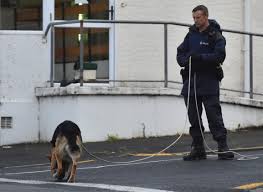 A stabbing attack has occurred at a supermarket in downtown dunedin, on new zealand's south island, with five people taken to hospital and a man arrested. Two Hurt In Stabbing Incident Otago Daily Times Online News