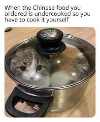 Dank Memes On Twitter Cook Your Food Properly Folks