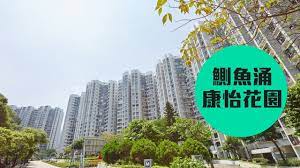 港島東地產代理, 提供 康怡花園, 太古城, 南豐新邨, 栢蕙苑, 康景花園, 逸樺園, 逸意居, 康山花園, 華蘭花園, 惠安苑, 寶峰園, 康蕙花園等各大屋苑二手物業及港九. åº·æ€¡èŠ±åœ' é°‚é­šæ¶Œä¿å€¼ä¹‹é¸ Youtube
