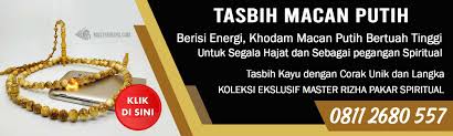 Menjaga diri power tenaga dalam kewibawaan daya pancar wibawa silat stromm / bayangan ( silat macan ) mahar iklas : 3 Perbedaan Khodam Macan Putih Keturunan Dan Hasil Tirakat Batin