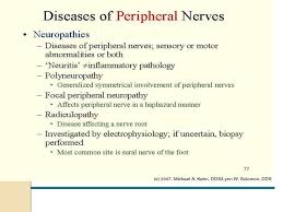 Peripheral Nerve Disease Peripheral Nerve Disease Ppt Download