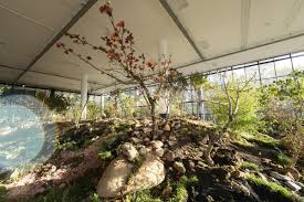 Image result for tbn:F7HKJEZ28fhrGM::www.artthrob.co.za/06jan/images/borland02a.jpg