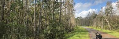 Regional homes is a manufactured housing dealership and is a part of the largest dealership network. Biking East Central Regional Rail Trail Ecrrt Florida Hikes