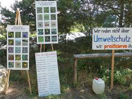 »das muss ein guter trainer haben! Sisyphusarbeit Sandhauser Dune Massenhafte Pollen Und Sameninvasion Aus Der Muhllach Leimen Lokal Leimen Lokal