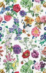 Flowers Shading Flower Painting Floral Wallpaper Flower Wallpaper