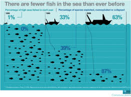 Can The Wto Curb Dangerous Overfishing China Dialogue
