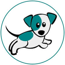 CanadaVetExpress (@canadavetexpress) • Instagram photos and videos