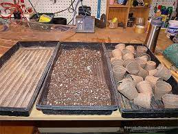 Pin On Indoor Grow Table And Grow Lights Set Up Seed Starting Guide