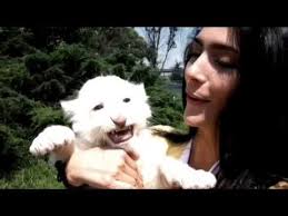 Vanessa Cure & white lion LEÒN BLANCO