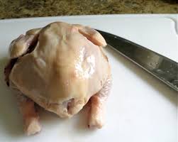 Many party games involve at least some level of humor, whether inherent in the game or introduced by players. Cornish Game Hen The Solo Cook